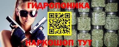 прущие грибы Краснознаменск
