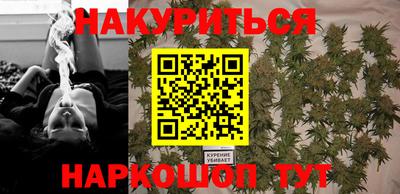 прущие грибы Краснознаменск