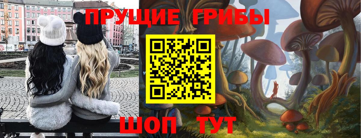 Галлюциногенные грибы MAGIC MUSHROOMS Калининград